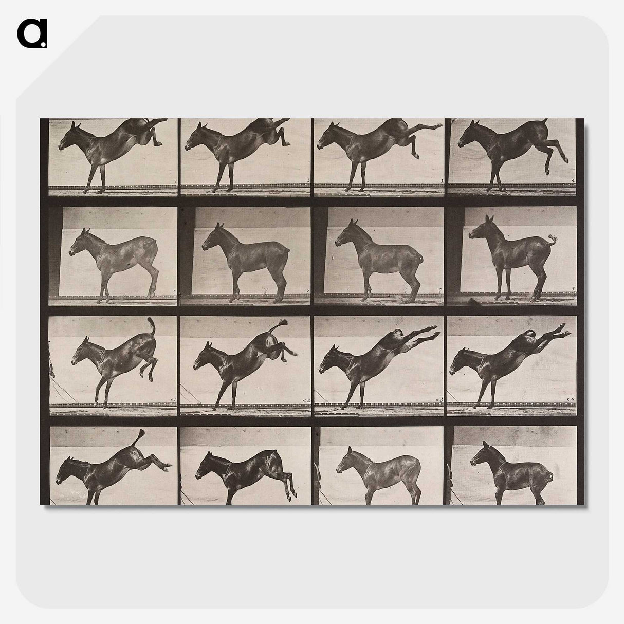 1-85_Eadweard-Muybridge_picture-crop