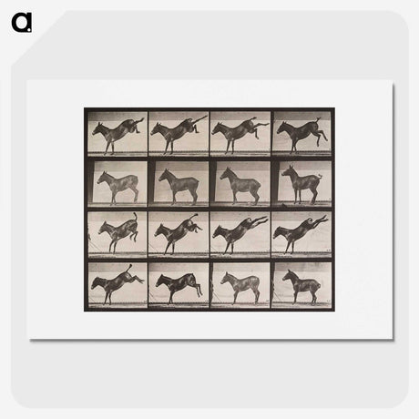 1-85_Eadweard-Muybridge_picture
