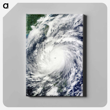 アートパネル-Supertyphoon Megi as Seen by Terra Satellite
 - 上空からの地球 Canvas.