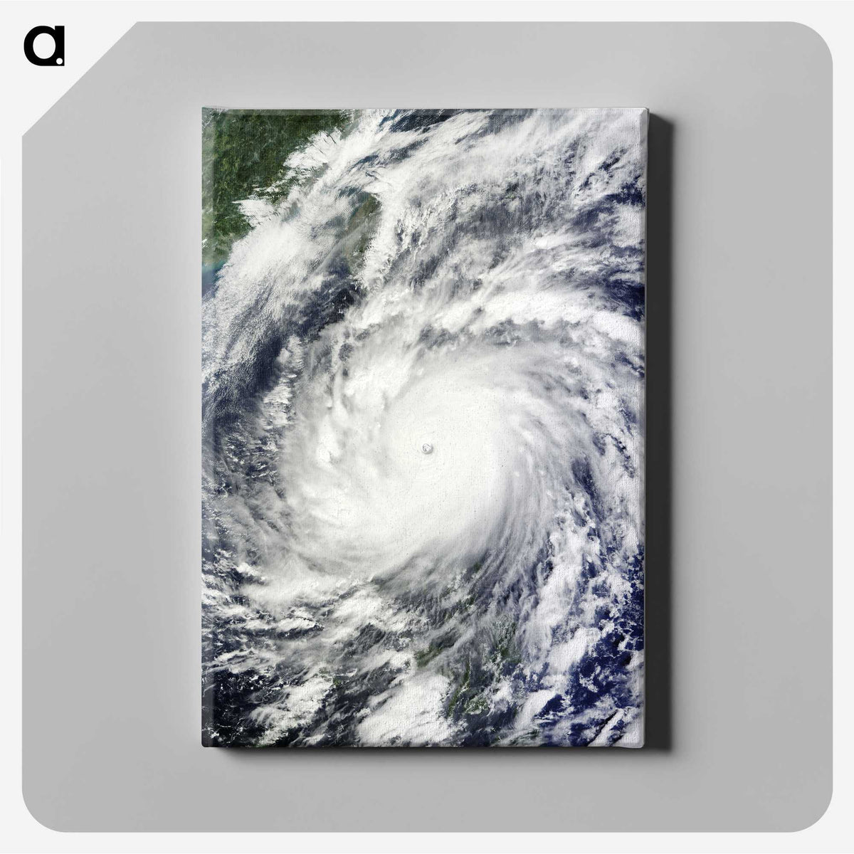 1-85_Earth-from-Above_canvas