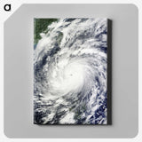 1-85_Earth-from-Above_canvas