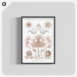 1-85_Ernst-Haeckel_blk-crop