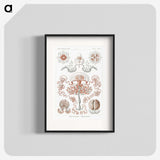 1-85_Ernst-Haeckel_blk