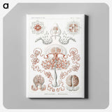 1-85_Ernst-Haeckel_canvas