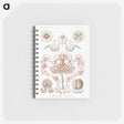 1-85_Ernst-Haeckel_memo
