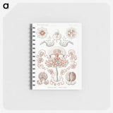 1-85_Ernst-Haeckel_memo
