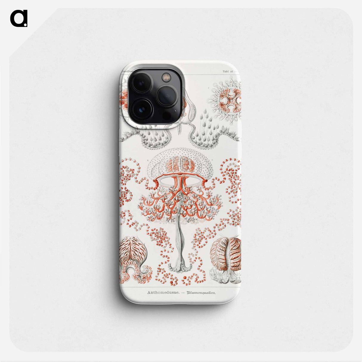 Anthomedusae–Blumenquallen - エルンスト ヘッケル Phone Case.
