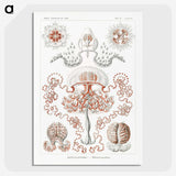 1-85_Ernst-Haeckel_picture-crop