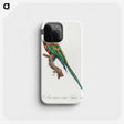 1-85_Francois-Levaillant_phone