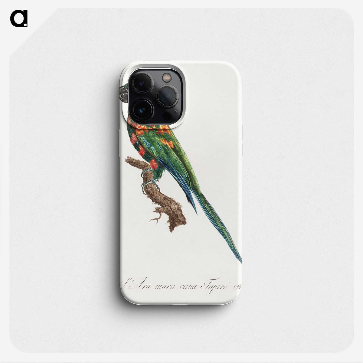 1-85_Francois-Levaillant_phone