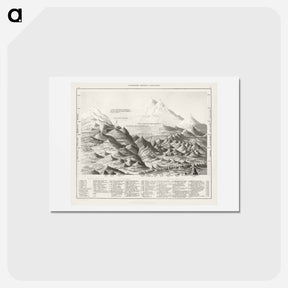 アートポストカード-Geology
 - ゴールドスミスの生き生きとした自然 Postcard.