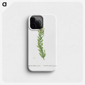 1-85_Histoire-des-Plantes-Grasses_phone