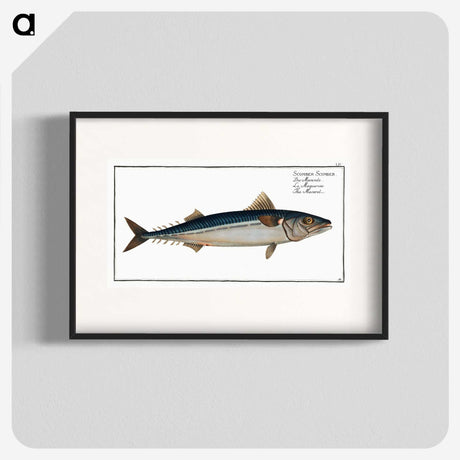 1-85_Ichtyologie-ou-Histoire-naturelle_blk