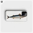 1-85_Ichtyologie-ou-Histoire-naturelle_phone