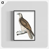 1-85_Indian-Zoology_blk-crop