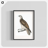 1-85_Indian-Zoology_blk