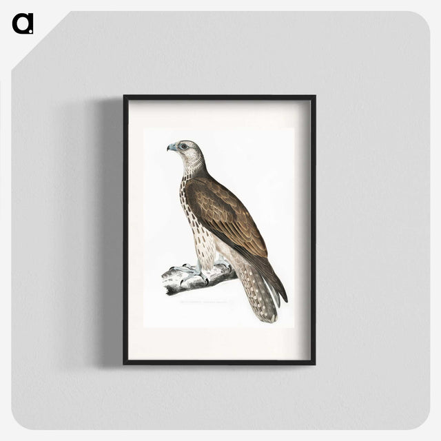 1-85_Indian-Zoology_blk