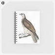 1-85_Indian-Zoology_memo