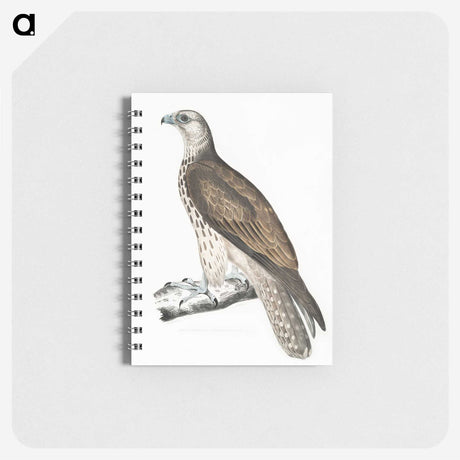 1-85_Indian-Zoology_memo