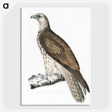 1-85_Indian-Zoology_picture-crop