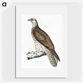 1-85_Indian-Zoology_picture