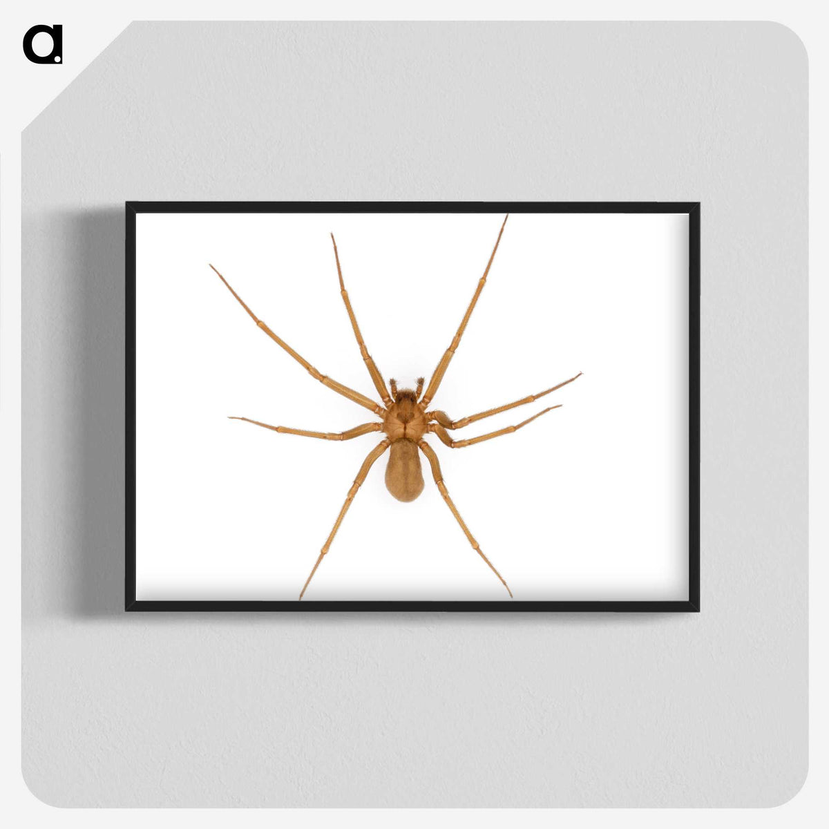 1-85_Insects-Unlocked-Project_blk-crop