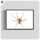 1-85_Insects-Unlocked-Project_blk-crop