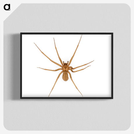 1-85_Insects-Unlocked-Project_blk-crop