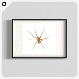 1-85_Insects-Unlocked-Project_blk