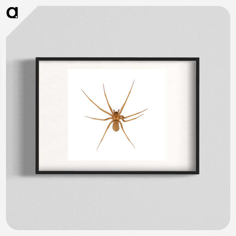 1-85_Insects-Unlocked-Project_blk