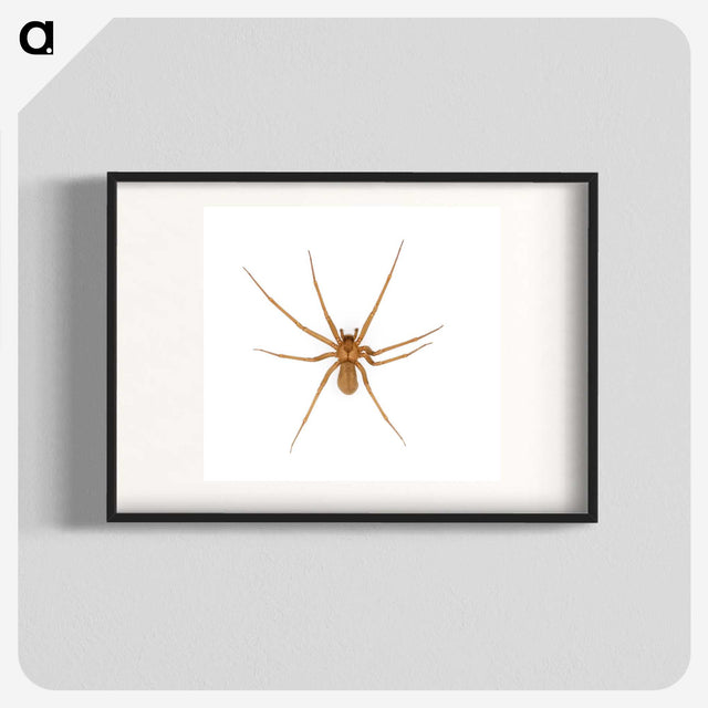 1-85_Insects-Unlocked-Project_blk