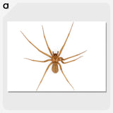 1-85_Insects-Unlocked-Project_picture-crop