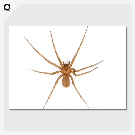 1-85_Insects-Unlocked-Project_picture-crop