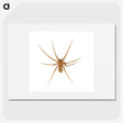 1-85_Insects-Unlocked-Project_picture