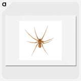 1-85_Insects-Unlocked-Project_picture