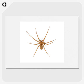 1-85_Insects-Unlocked-Project_picture