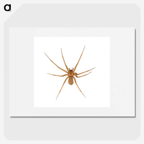 1-85_Insects-Unlocked-Project_picture