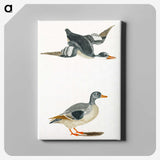 1-85_Johan-Teyler_canvas