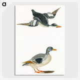 1-85_Johan-Teyler_picture-crop