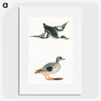 1-85_Johan-Teyler_picture