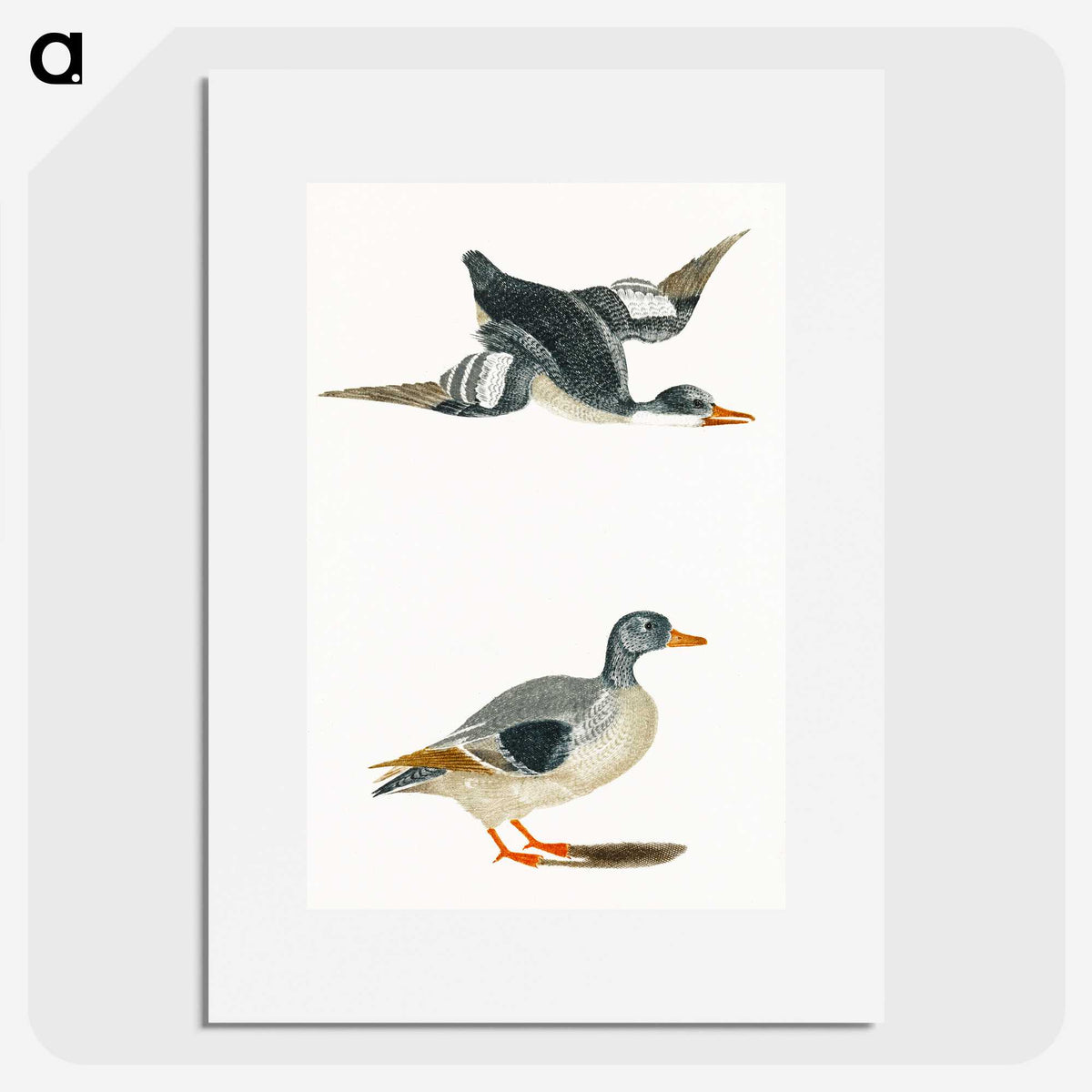 1-85_Johan-Teyler_picture