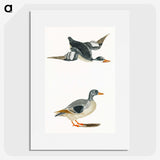 1-85_Johan-Teyler_picture
