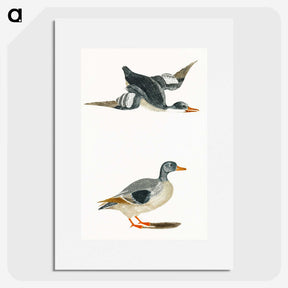 1-85_Johan-Teyler_picture
