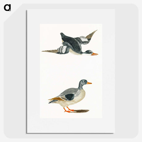 1-85_Johan-Teyler_picture