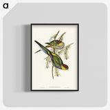 1-85_John-Gould_blk-crop