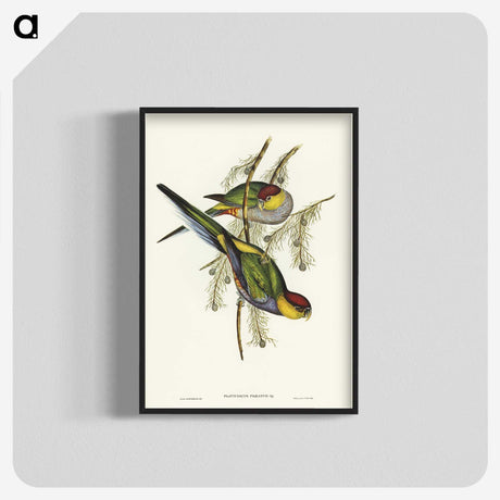 1-85_John-Gould_blk-crop