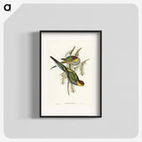 1-85_John-Gould_blk