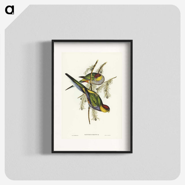 1-85_John-Gould_blk