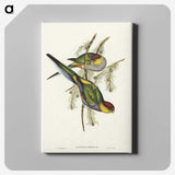 1-85_John-Gould_canvas