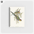 1-85_John-Gould_memo